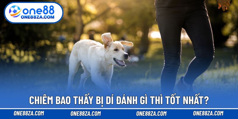 Chiêm bao thấy bị dí đánh gì thì tốt nhất?