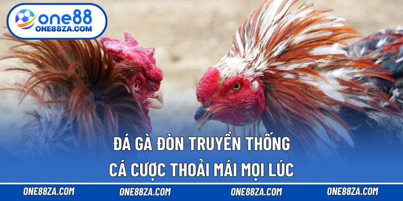 Đá gà đòn truyền thống