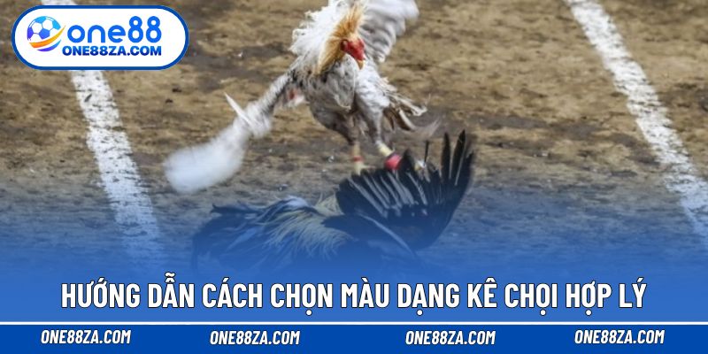 Hướng dẫn cách chọn màu dạng kê chọi hợp lý