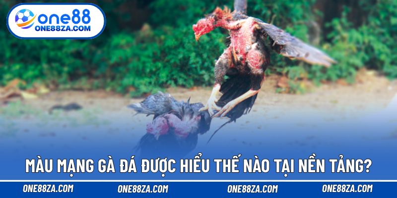 Màu mạng gà đá được hiểu thế nào tại nền tảng?