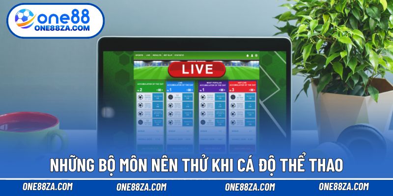 Những bộ môn nên thử khi cá độ thể thao