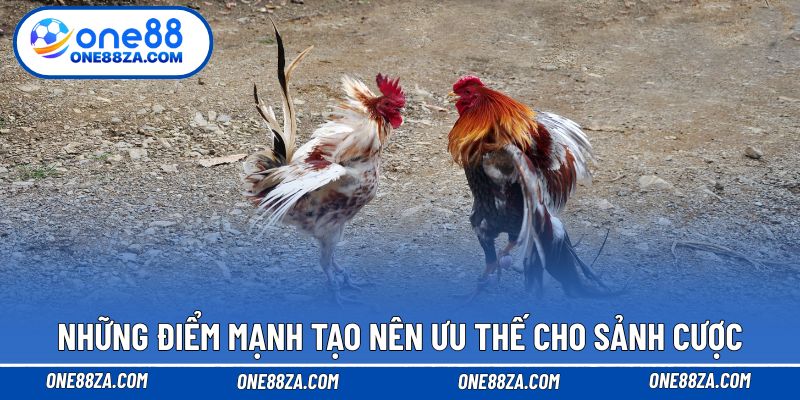 Những điểm mạnh tạo nên ưu thế cho sảnh cược