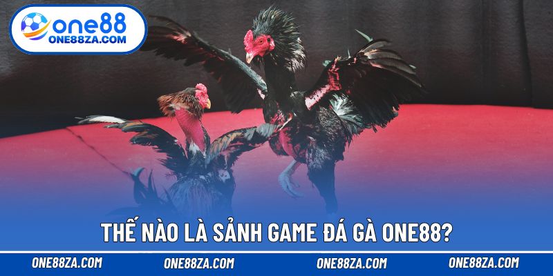 Thế nào là sảnh game đá gà ONE88?