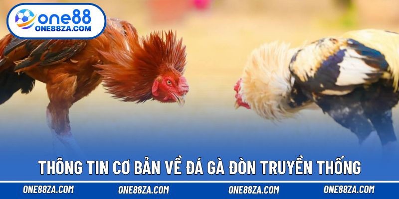 Thông tin cơ bản về đá gà đòn truyền thống