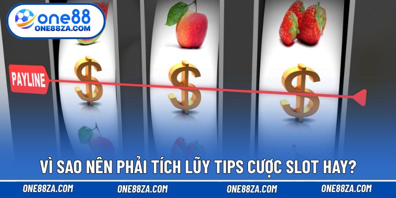 Vì sao nên phải tích lũy tips cược slot hay?